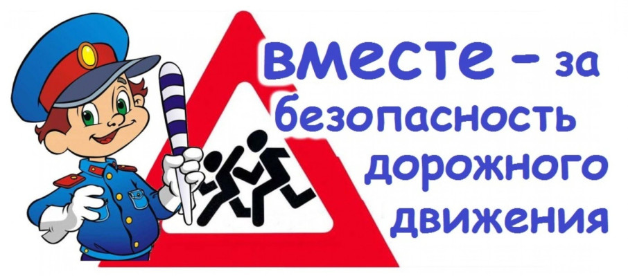 Соблюдаем ПДД Соблюдаем ПДД.